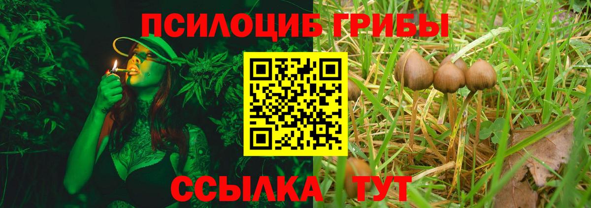 Армавир  купить наркоту  Вход с VPN  Галлюциногенные грибы GOLDEN TEACHER 